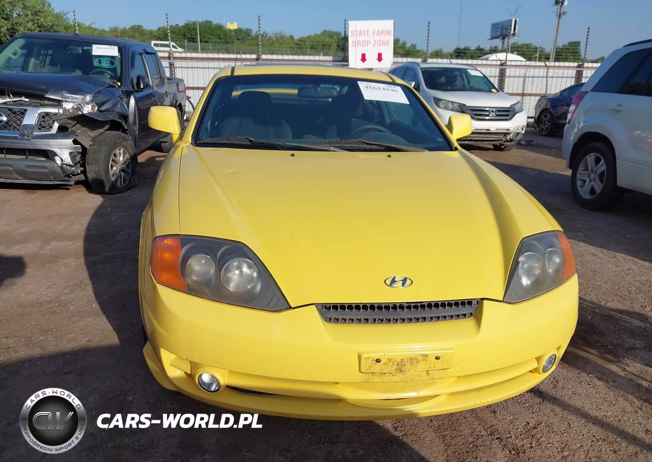 2004 Hyundai Tiburon Gt V6-Gt V6 Special Edition VIN:KMHHN65F14U144350 - 12