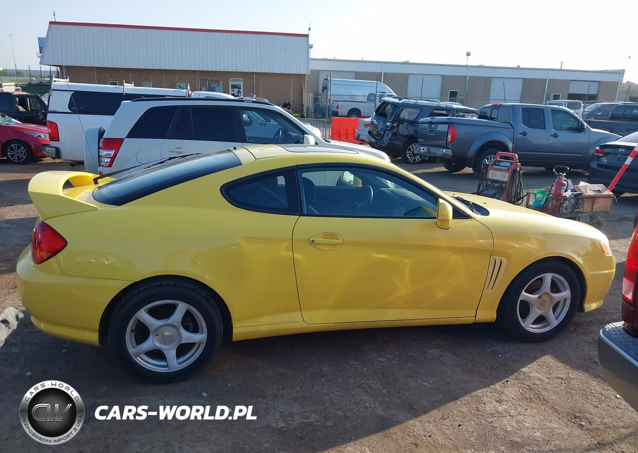 2004 Hyundai Tiburon Gt V6-Gt V6 Special Edition VIN:KMHHN65F14U144350 - 13