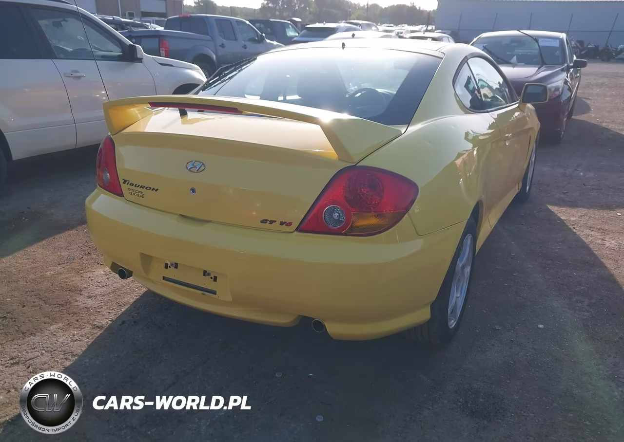 2004 Hyundai Tiburon Gt V6-Gt V6 Special Edition VIN:KMHHN65F14U144350 - 4