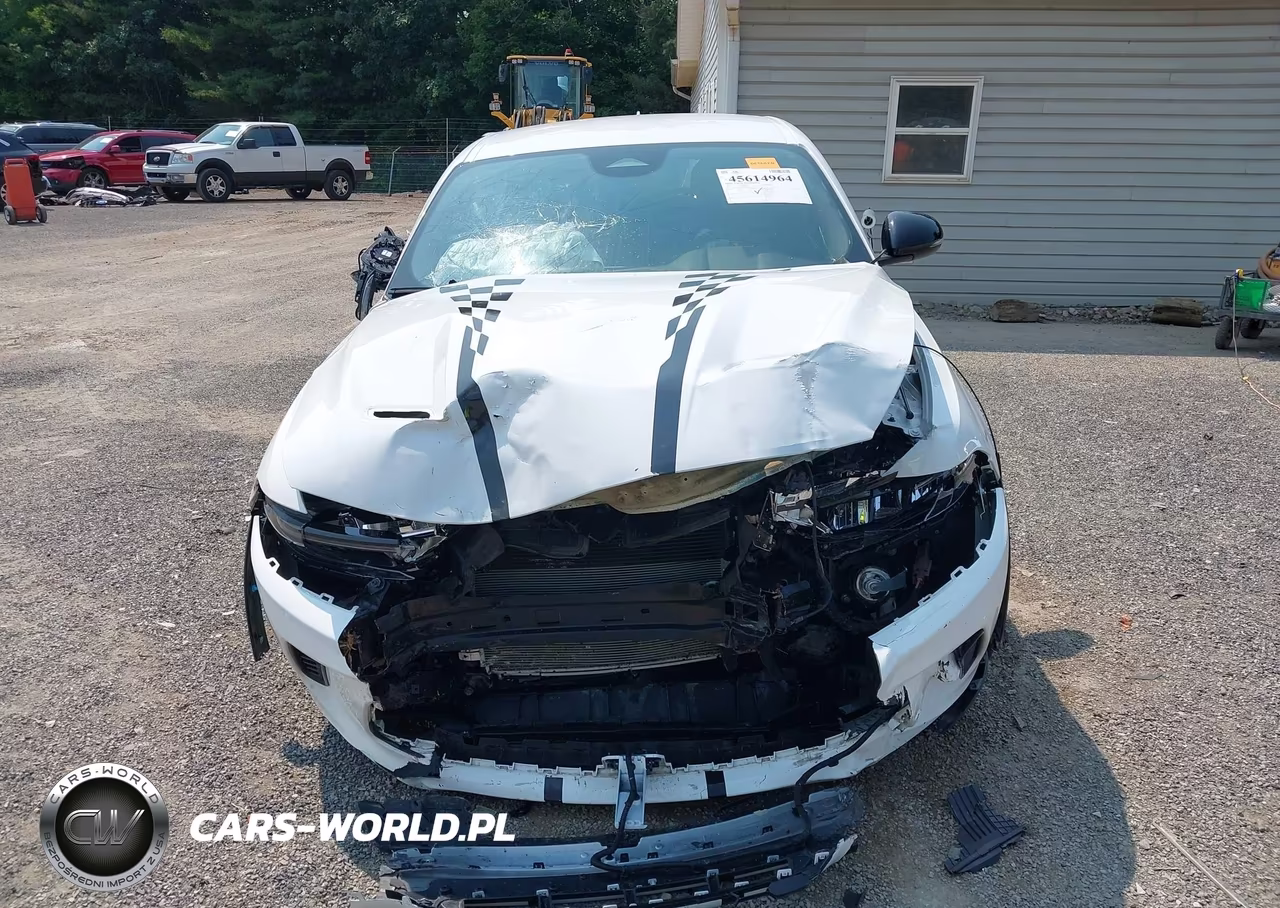 2023 Dodge Hornet Gt Awd VIN:ZACNDFAN0P3A03077 - 12