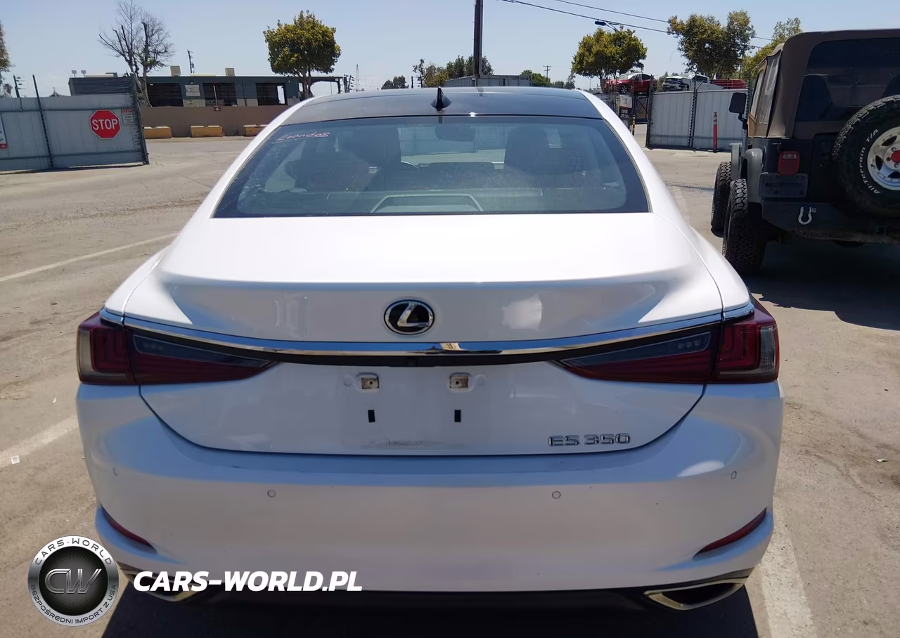 2022 Lexus Es 350 VIN:58ADZ1B17NU118408 - 17