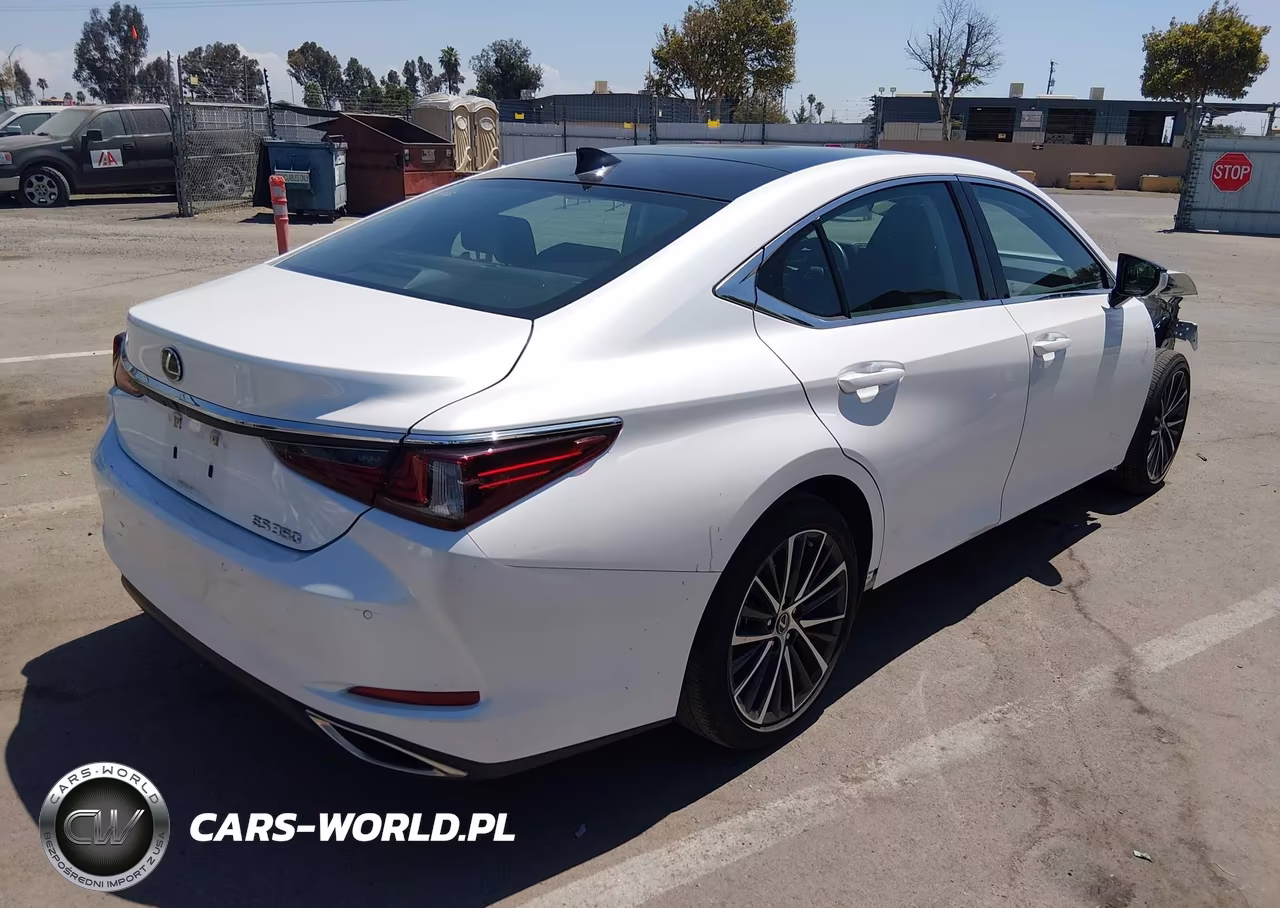 2022 Lexus Es 350 VIN:58ADZ1B17NU118408 - 4