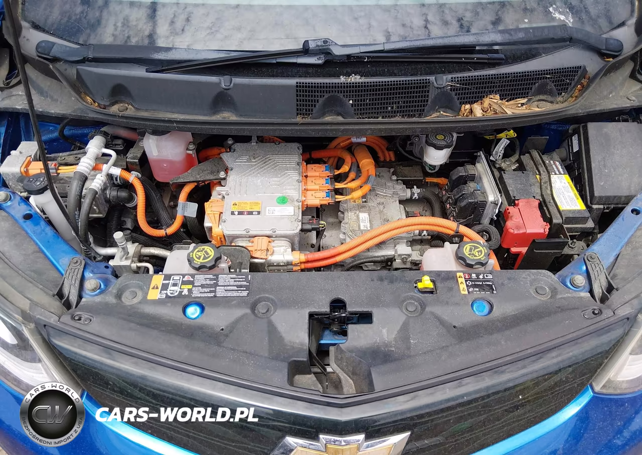 2017 Chevrolet Bolt Ev Lt VIN:1G1FW6S08H4136124 - 10