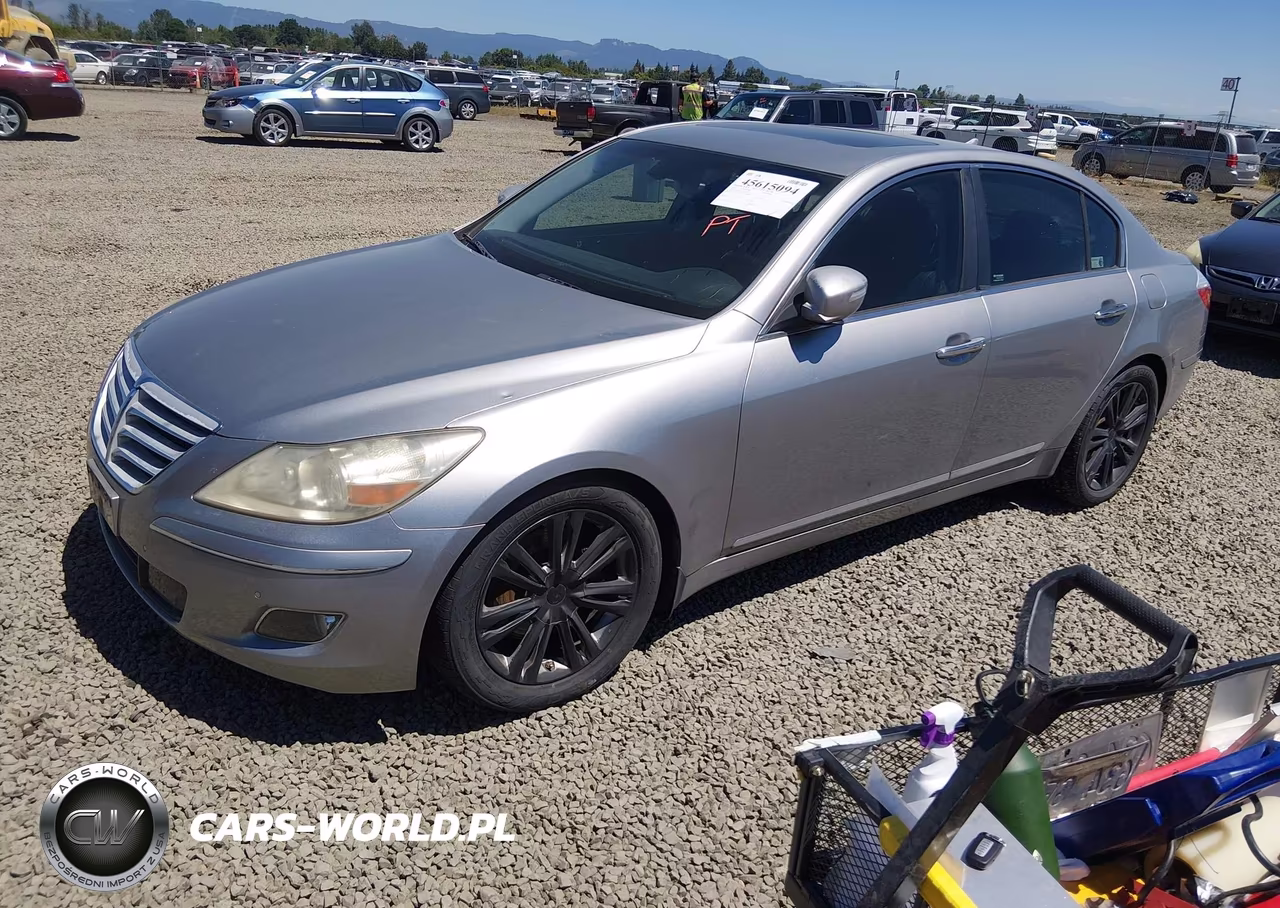 2010 Hyundai Genesis 4.6 VIN:KMHGC4DF5AU072491 - 2
