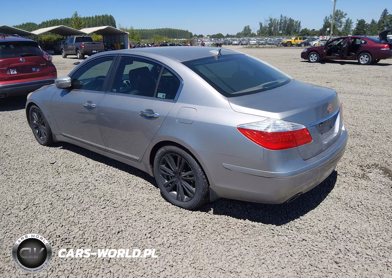 2010 Hyundai Genesis 4.6 VIN:KMHGC4DF5AU072491 - 3