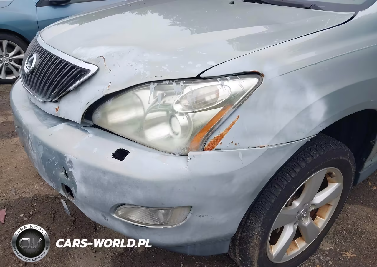 2004 Lexus Rx 330 VIN:2T2HA31UX4C017379 - 12