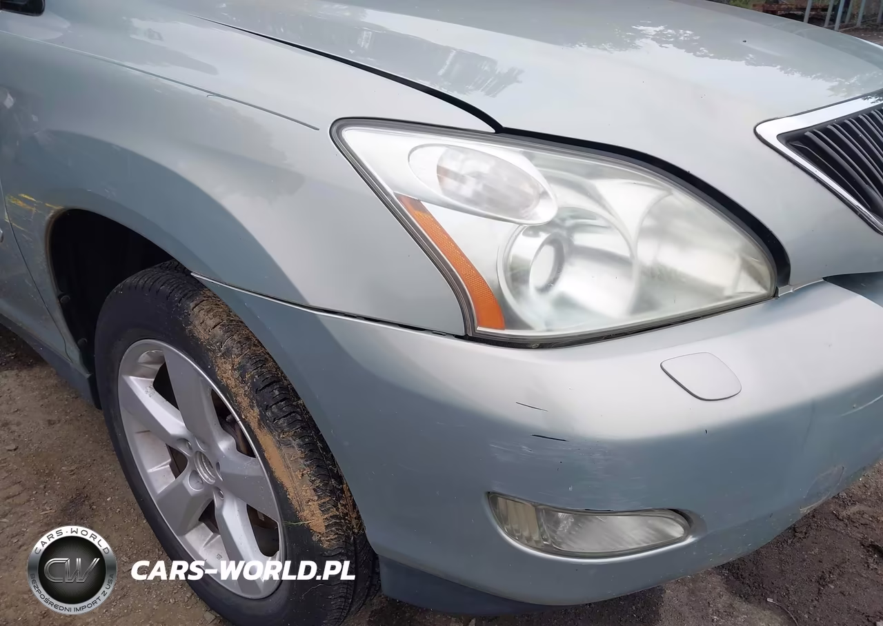 2004 Lexus Rx 330 VIN:2T2HA31UX4C017379 - 16