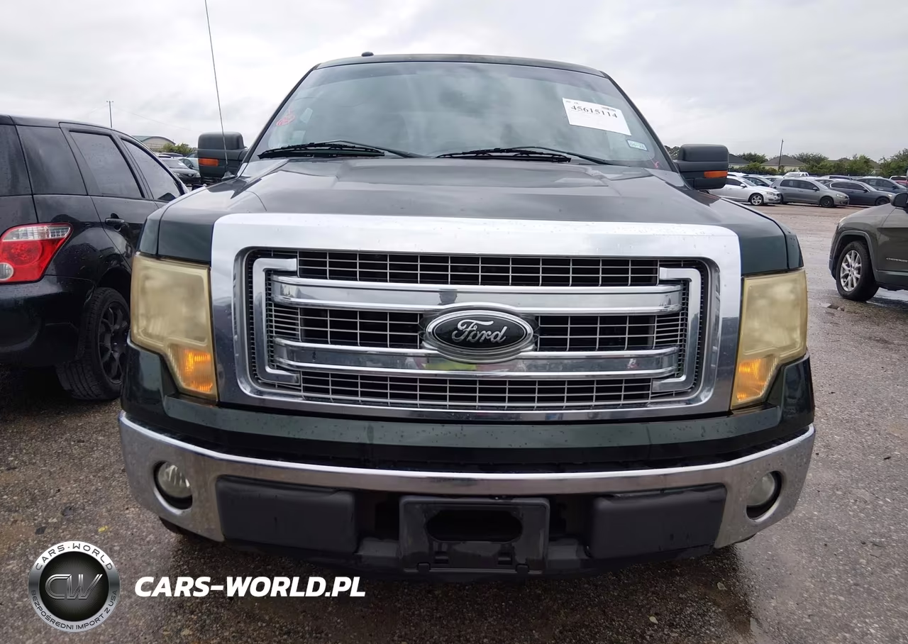 2013 Ford F-150 Xl-Xlt VIN:1FTEW1CMXDKE27270 - 12