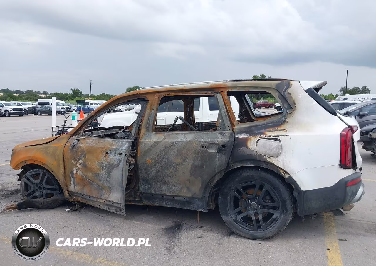2021 Kia Telluride S VIN:5XYP6DHC5MG181115 - 13