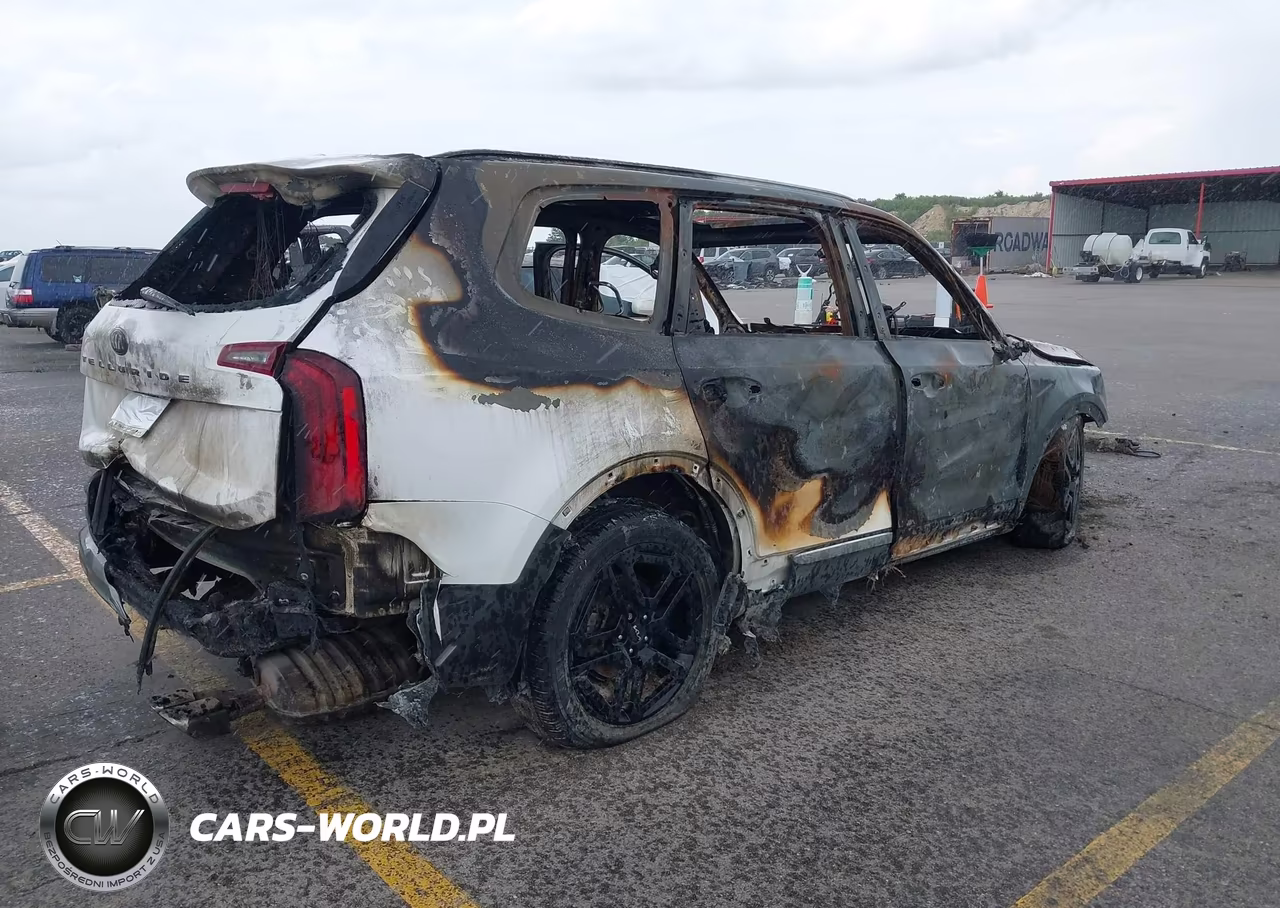 2021 Kia Telluride S VIN:5XYP6DHC5MG181115 - 4