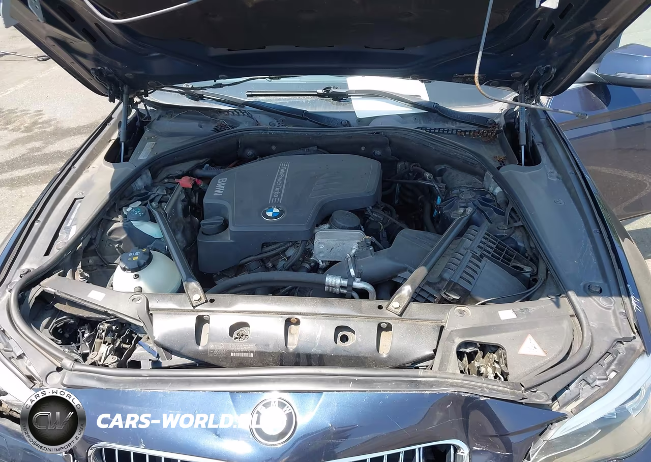 2015 BMW 528I xDrive VIN:WBA5A7C59FD621884 - 10