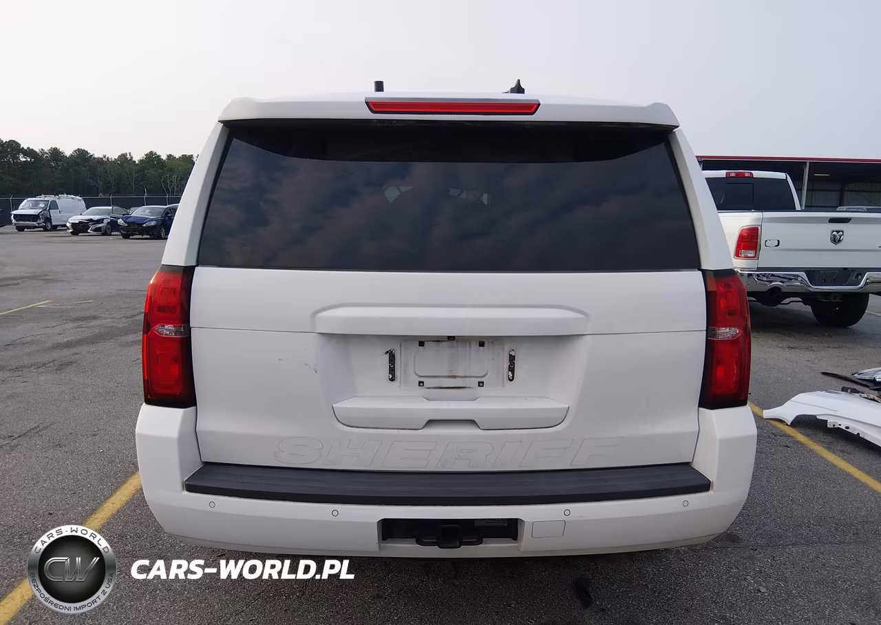 2020 Chevrolet Tahoe 2Wd Commercial Fleet VIN:1GNLCDEC6LR246797 - 17