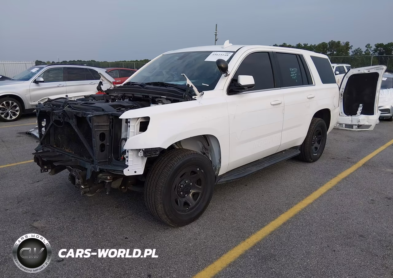 2020 Chevrolet Tahoe 2Wd Commercial Fleet VIN:1GNLCDEC6LR246797 - 2