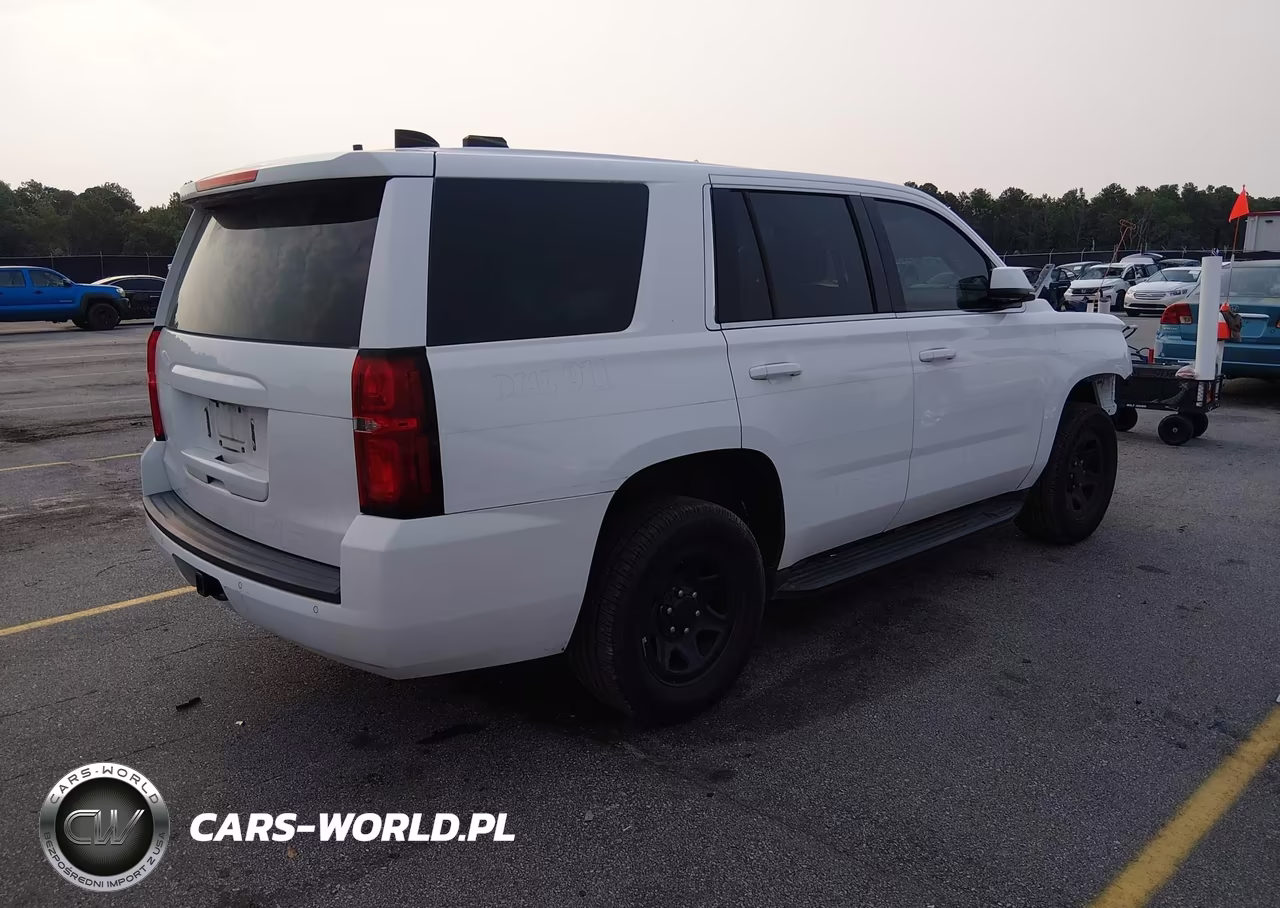 2020 Chevrolet Tahoe 2Wd Commercial Fleet VIN:1GNLCDEC6LR246797 - 4