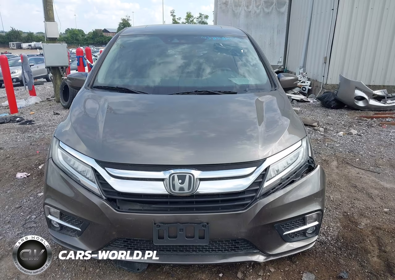 2018 Honda Odyssey Elite VIN:5FNRL6H96JB107612 - 12