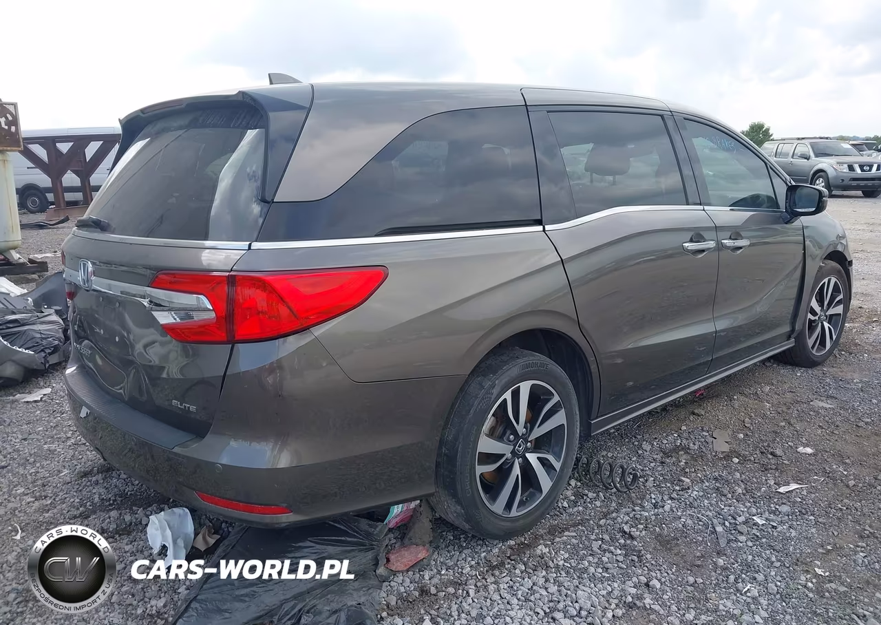 2018 Honda Odyssey Elite VIN:5FNRL6H96JB107612 - 4