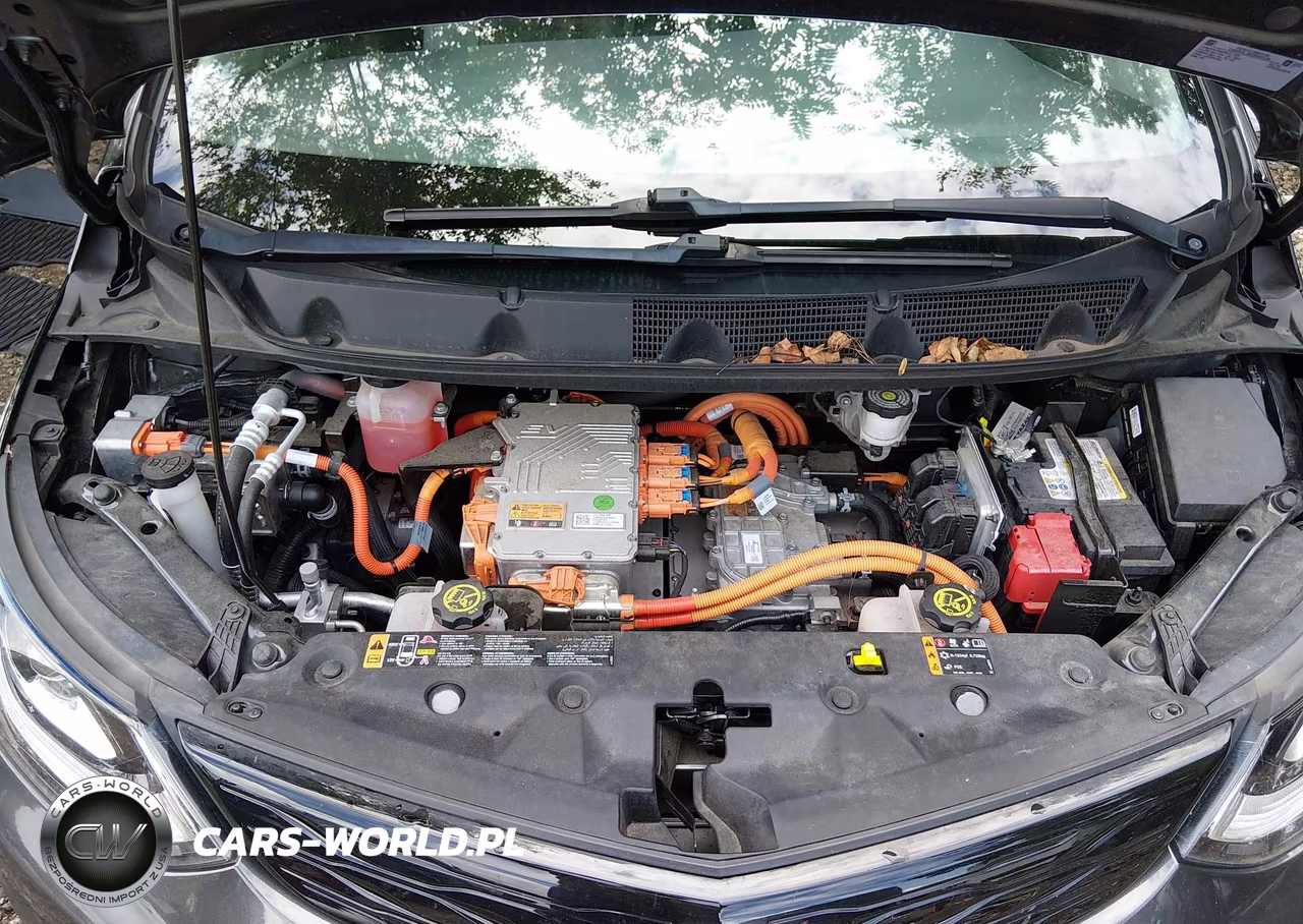 2020 Chevrolet Bolt Ev Fwd Premier VIN:1G1FZ6S04L4148769 - 10