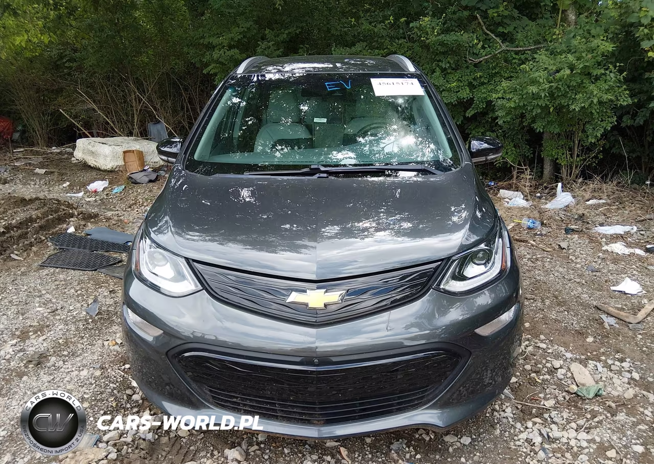 2020 Chevrolet Bolt Ev Fwd Premier VIN:1G1FZ6S04L4148769 - 13