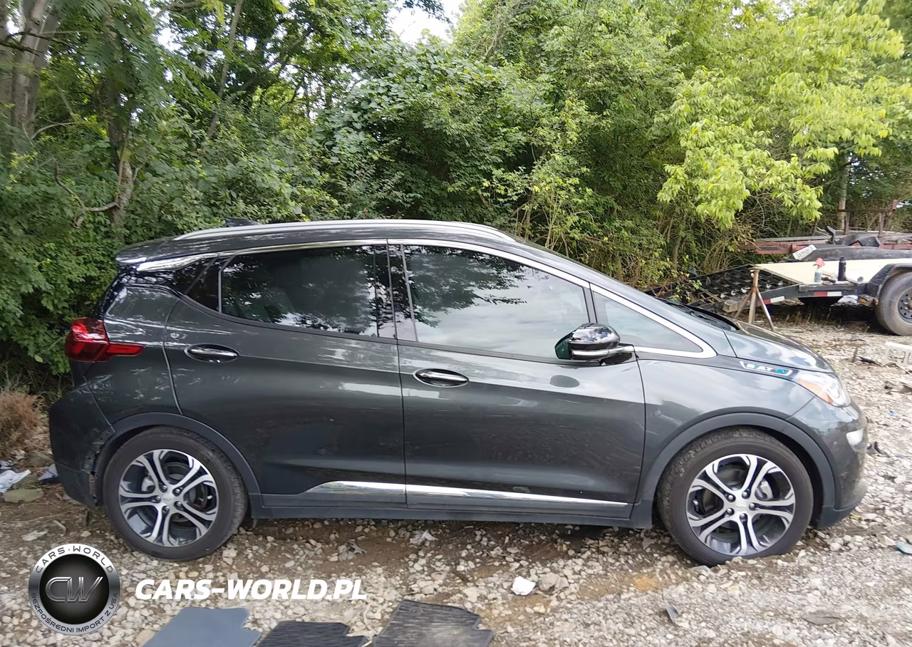 2020 Chevrolet Bolt Ev Fwd Premier VIN:1G1FZ6S04L4148769 - 14