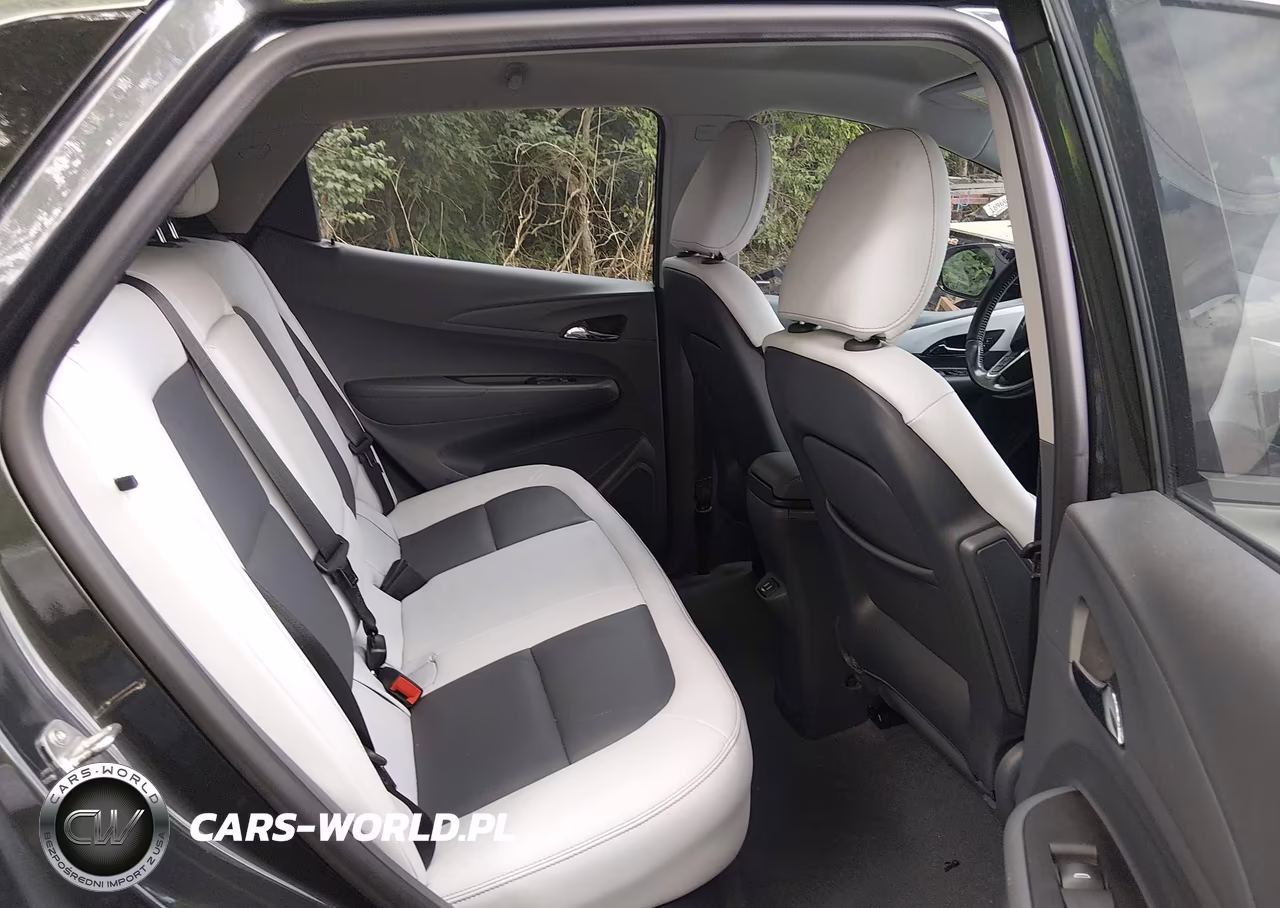2020 Chevrolet Bolt Ev Fwd Premier VIN:1G1FZ6S04L4148769 - 8