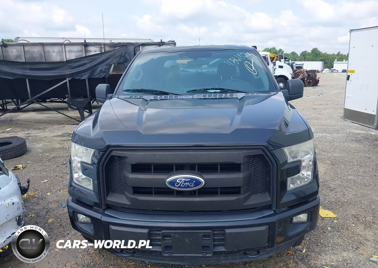 2016 Ford F-150 Xl VIN:1FTEW1EF1GFB02941 - 12