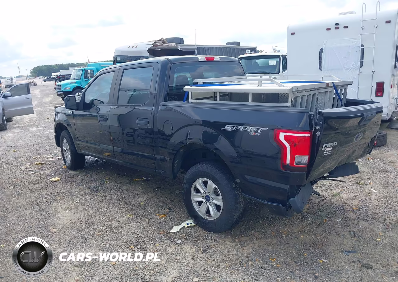 2016 Ford F-150 Xl VIN:1FTEW1EF1GFB02941 - 3