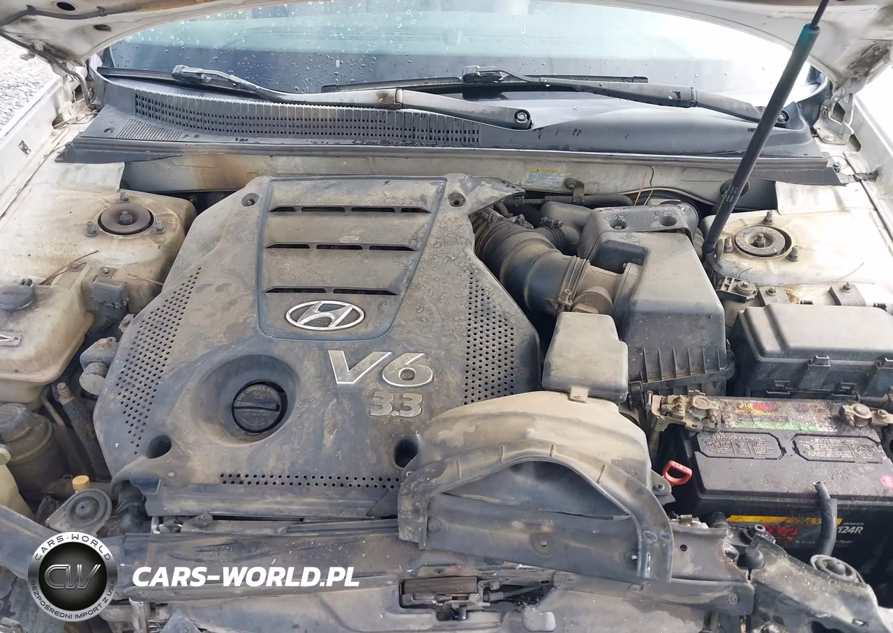 2009 Hyundai Sonata Limited V6 VIN:5NPEU46F19H407564 - 10