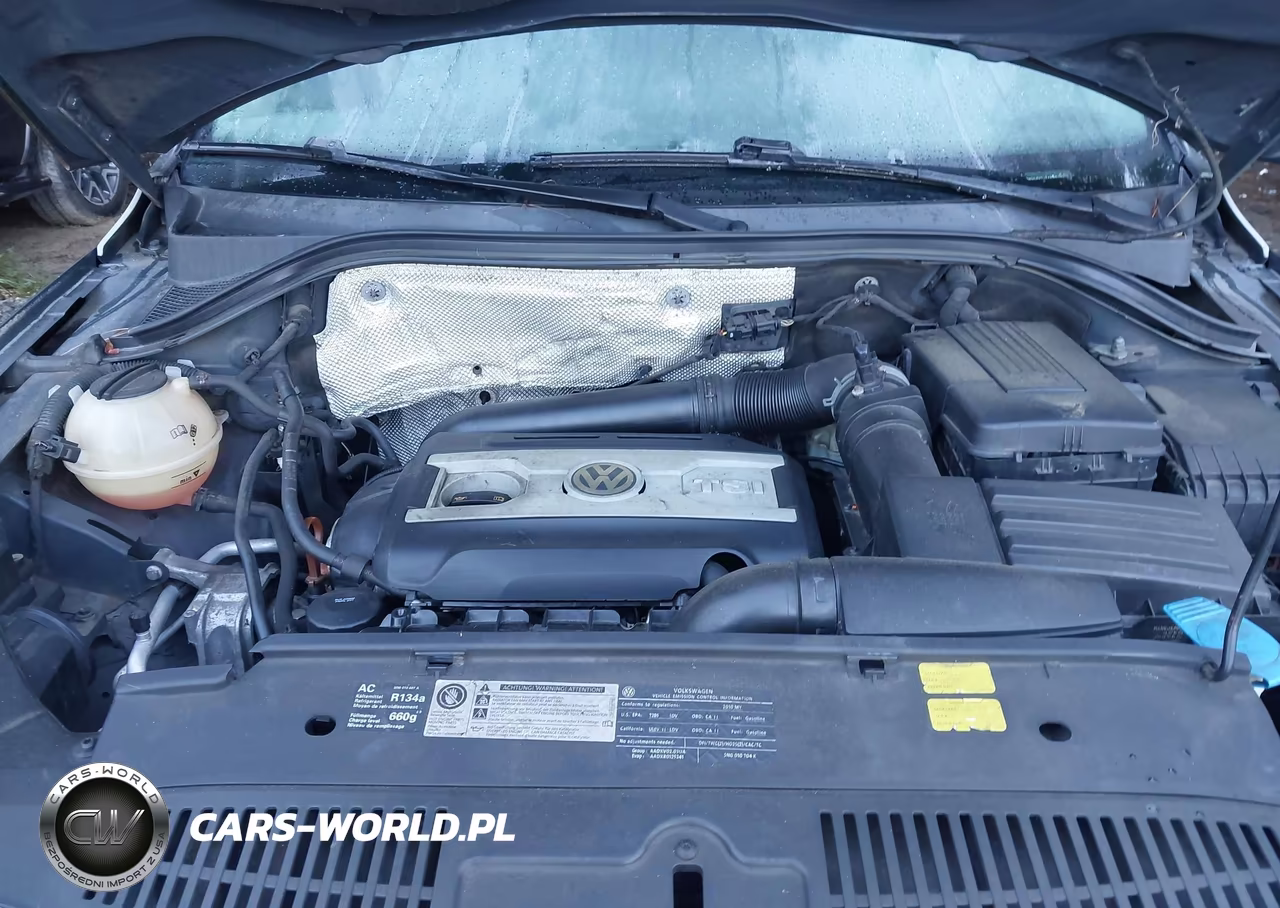 2010 Volkswagen Tiguan S VIN:WVGAV7AX4AW516222 - 10