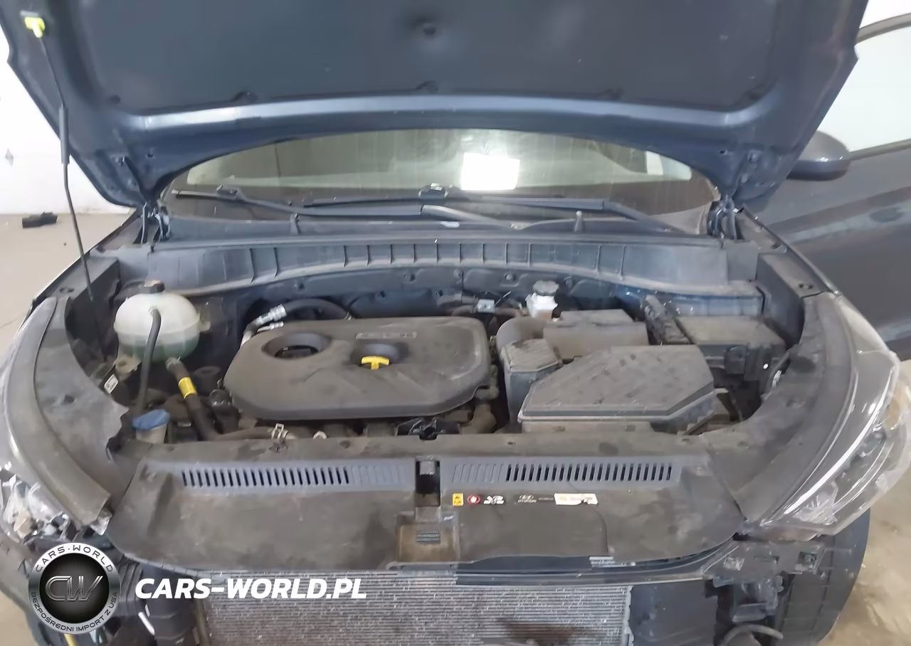 2019 Hyundai Tucson Se VIN:KM8J2CA49KU983057 - 10