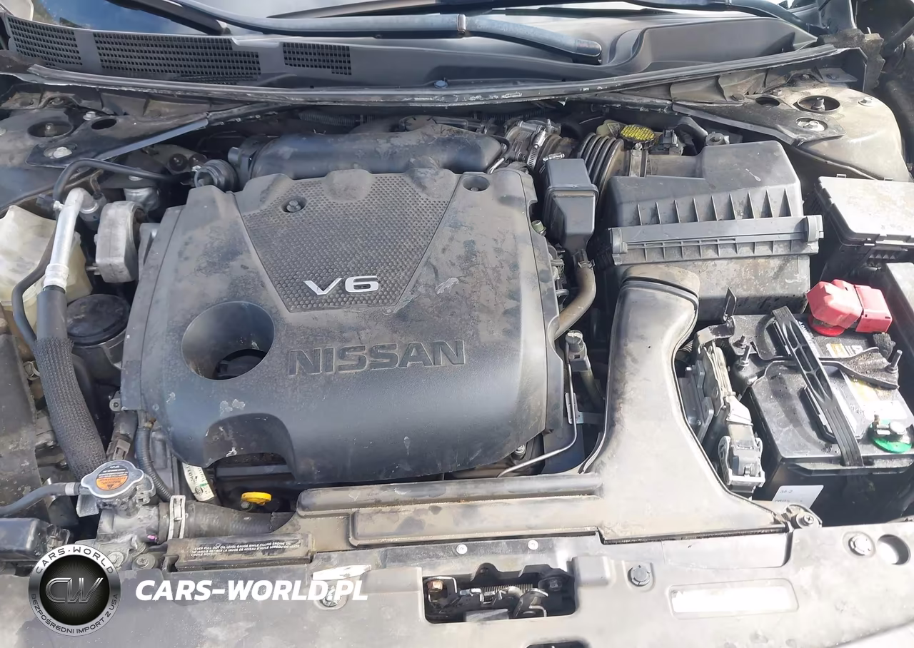 2016 Nissan Maxima 3.5 Sv VIN:1N4AA6AP4GC449051 - 10