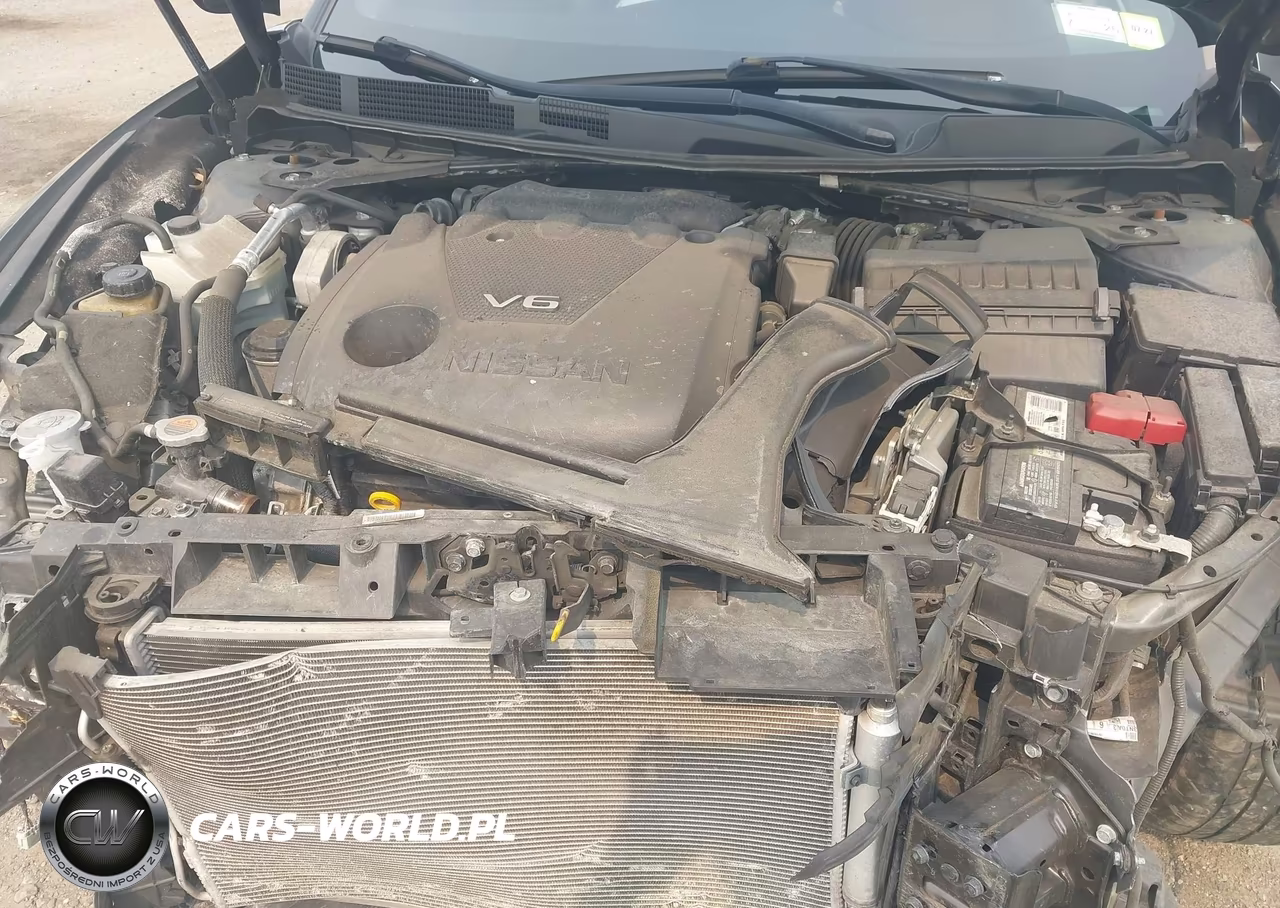 2020 Nissan Maxima Sl Xtronic Cvt VIN:1N4AA6DV2LC375407 - 10