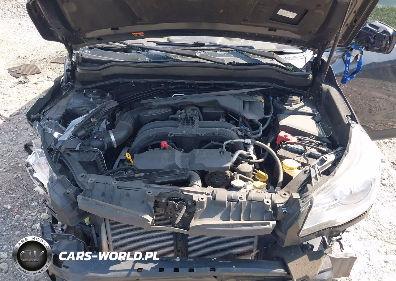 2018 Subaru Forester 2.5I VIN:JF2SJABC0JH557708 - 10