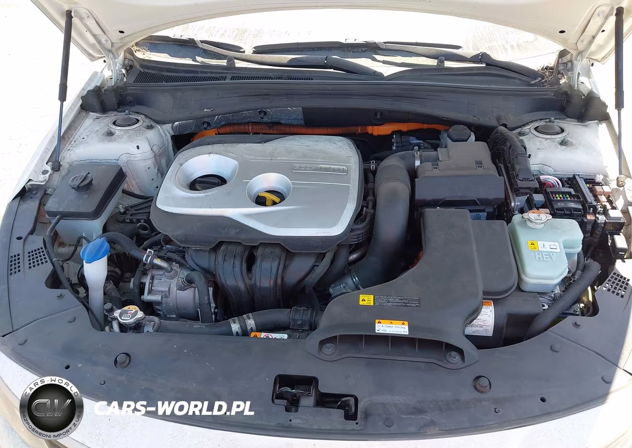 2020 Kia Optima Hybrid Ex VIN:KNAGU4LE5L5045425 - 10