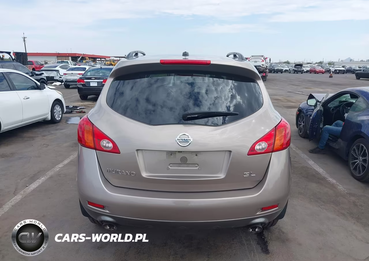 2009 Nissan Murano Sl VIN:JN8AZ18U79W020140 - 17