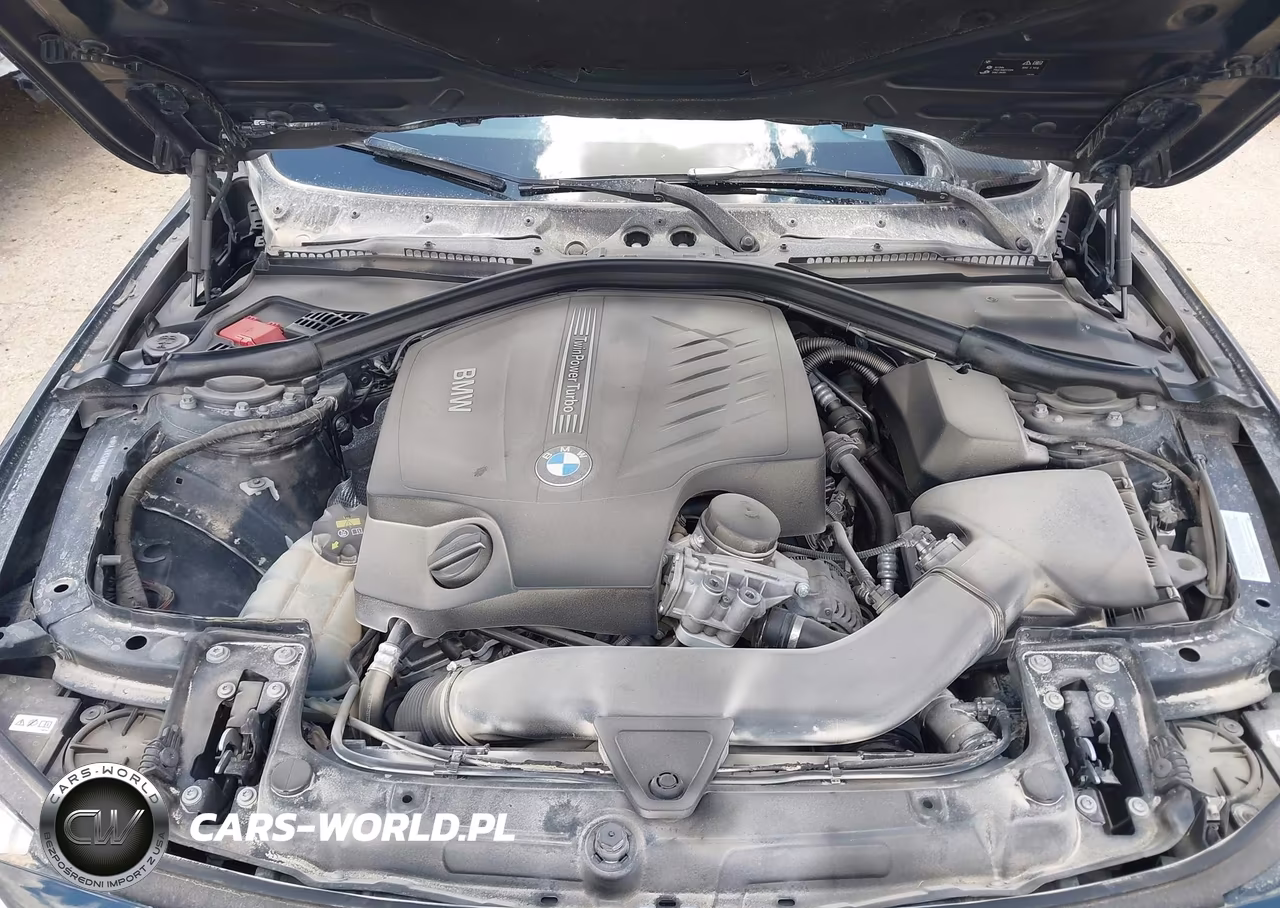 2016 BMW 435I VIN:WBA3R1C52GK195935 - 10