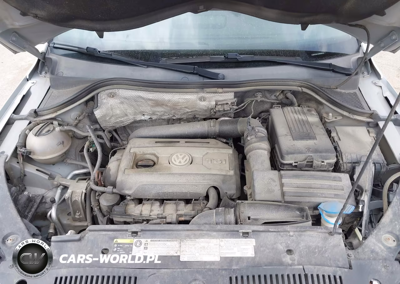 2013 Volkswagen Tiguan S VIN:WVGBV3AX1DW588142 - 10