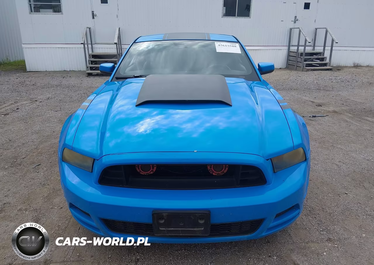 2011 Ford Mustang V6 Premium VIN:1ZVBP8AM6B5101387 - 12