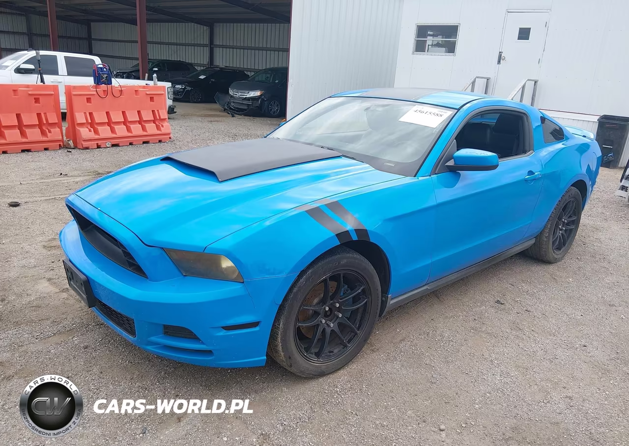 2011 Ford Mustang V6 Premium VIN:1ZVBP8AM6B5101387 - 2
