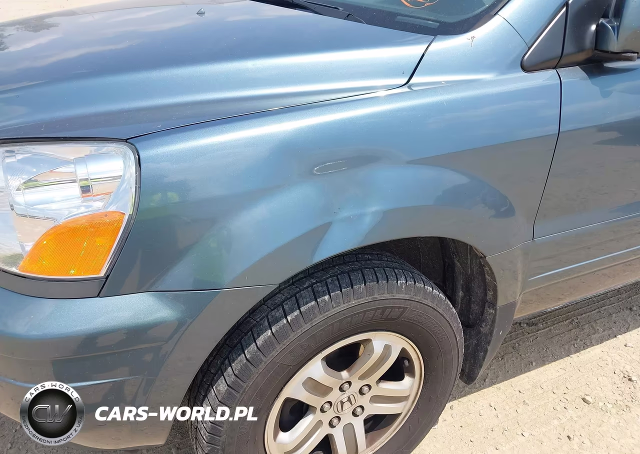 2005 Honda Pilot Ex VIN:5FNYF18465B036623 - 6
