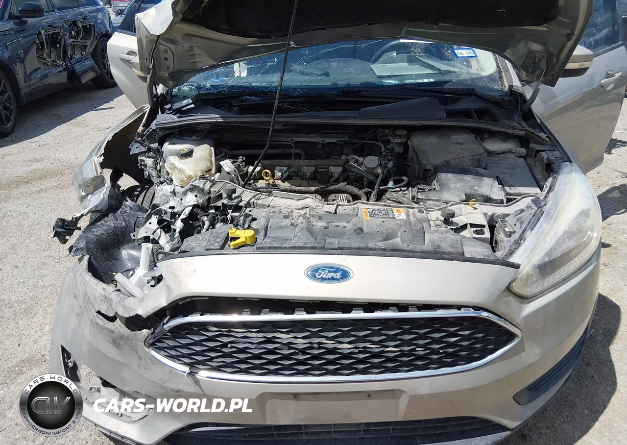 2016 Ford Focus Se VIN:1FADP3F2XGL395844 - 10