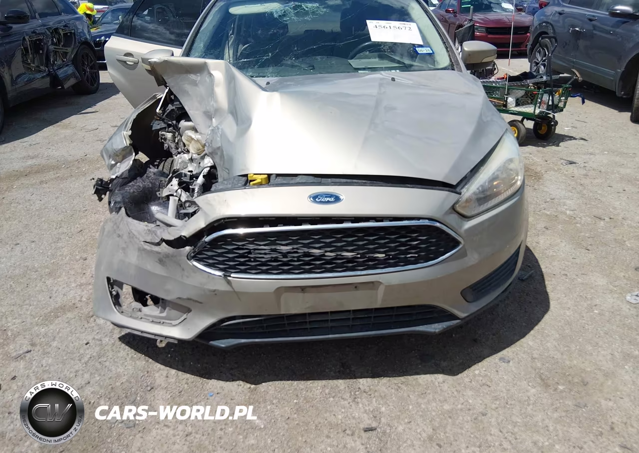 2016 Ford Focus Se VIN:1FADP3F2XGL395844 - 12