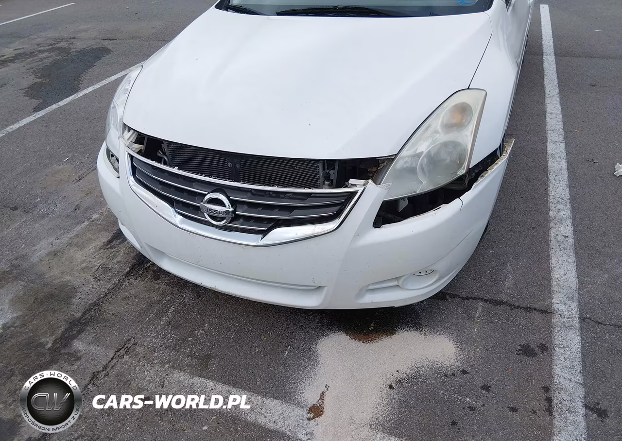 2010 Nissan Altima 2.5 S VIN:1N4AL2AP7AC173863 - 12