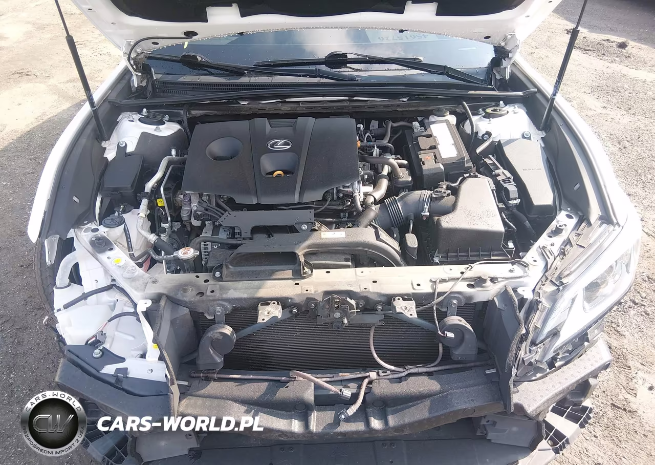 2021 Lexus Es 250 VIN:58AD11D16MU005441 - 10