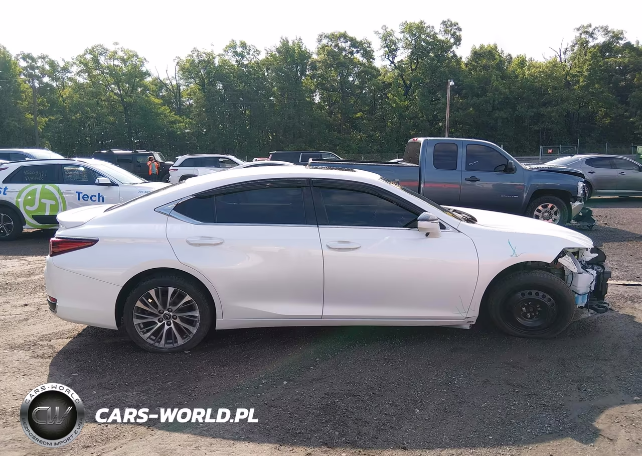 2021 Lexus Es 250 VIN:58AD11D16MU005441 - 13