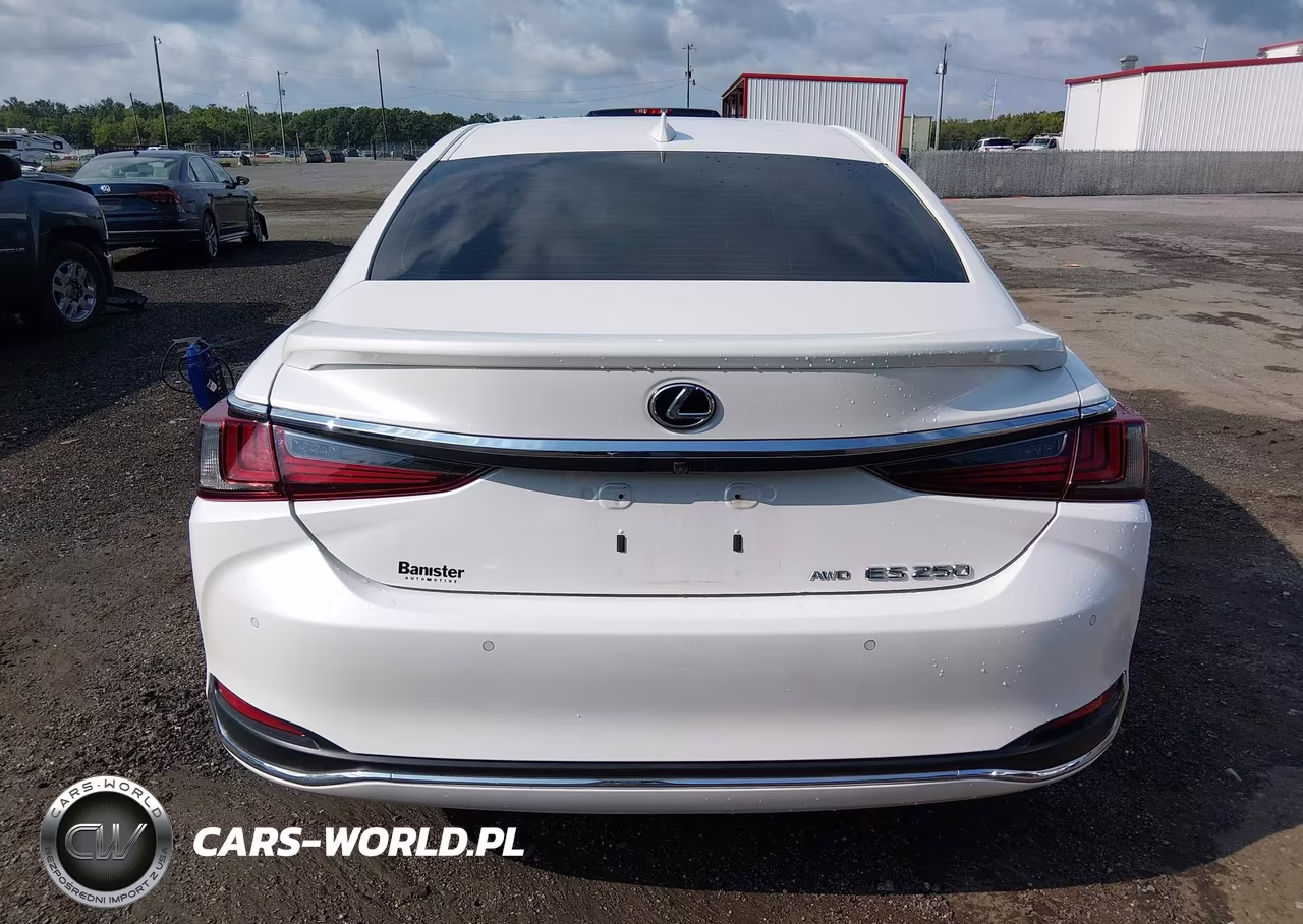 2021 Lexus Es 250 VIN:58AD11D16MU005441 - 16