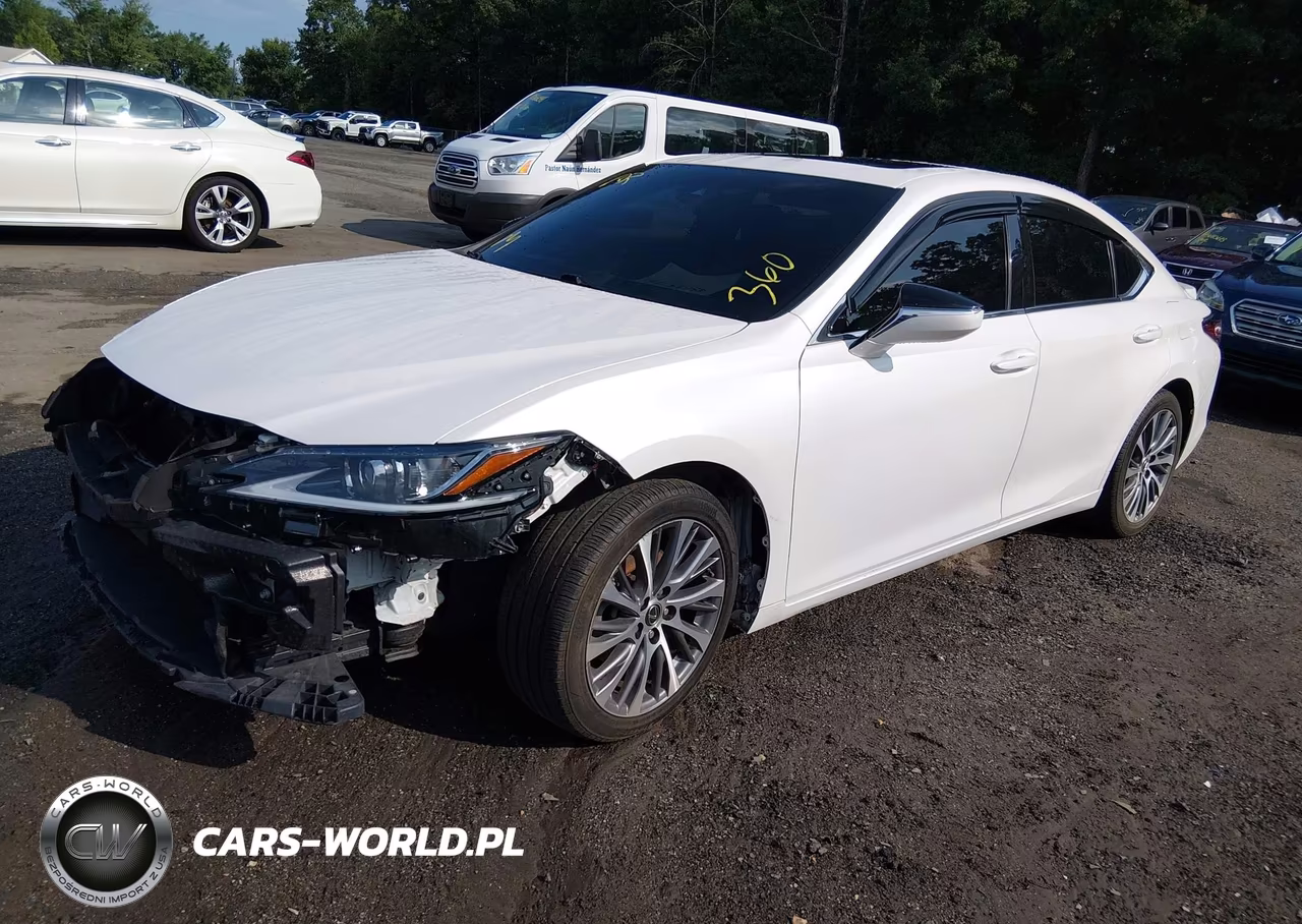 2021 Lexus Es 250 VIN:58AD11D16MU005441 - 2