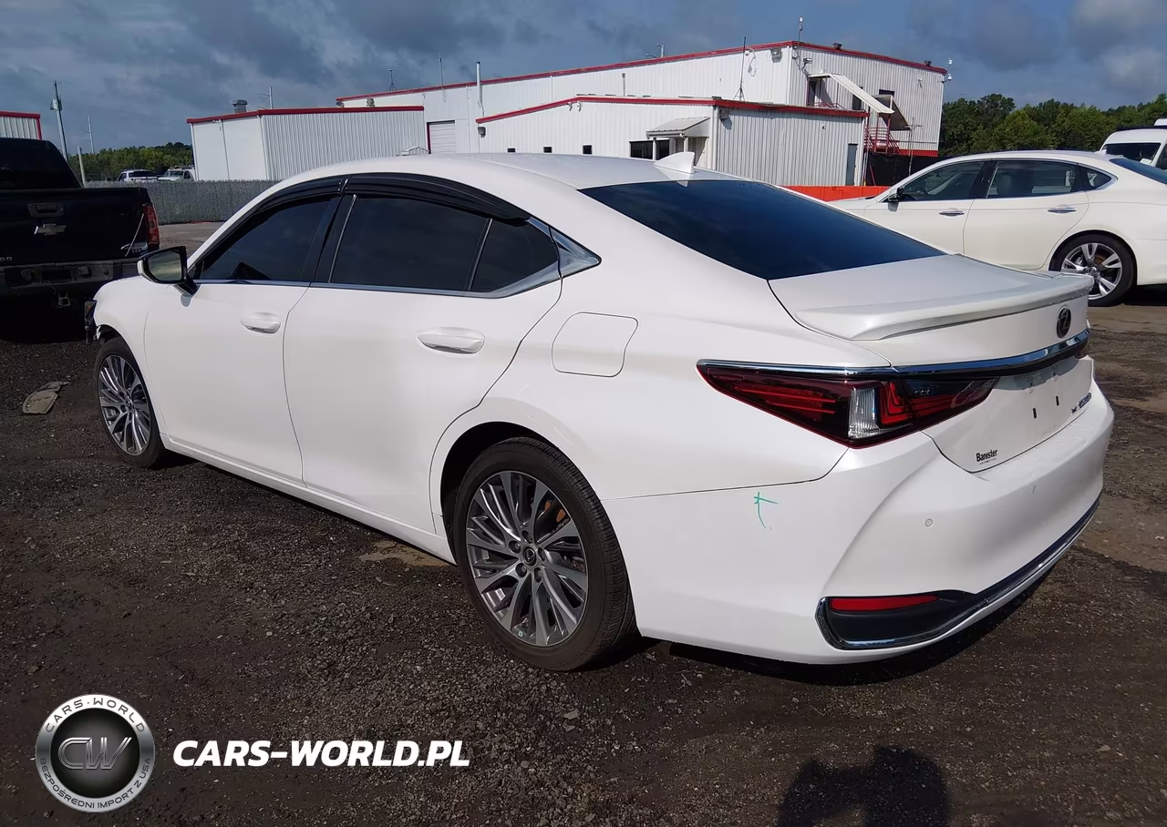 2021 Lexus Es 250 VIN:58AD11D16MU005441 - 3