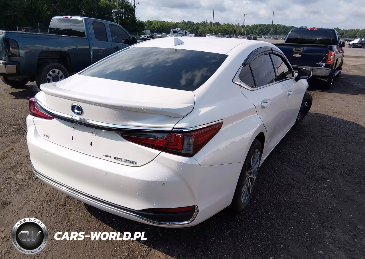 2021 Lexus Es 250 VIN:58AD11D16MU005441 - 4