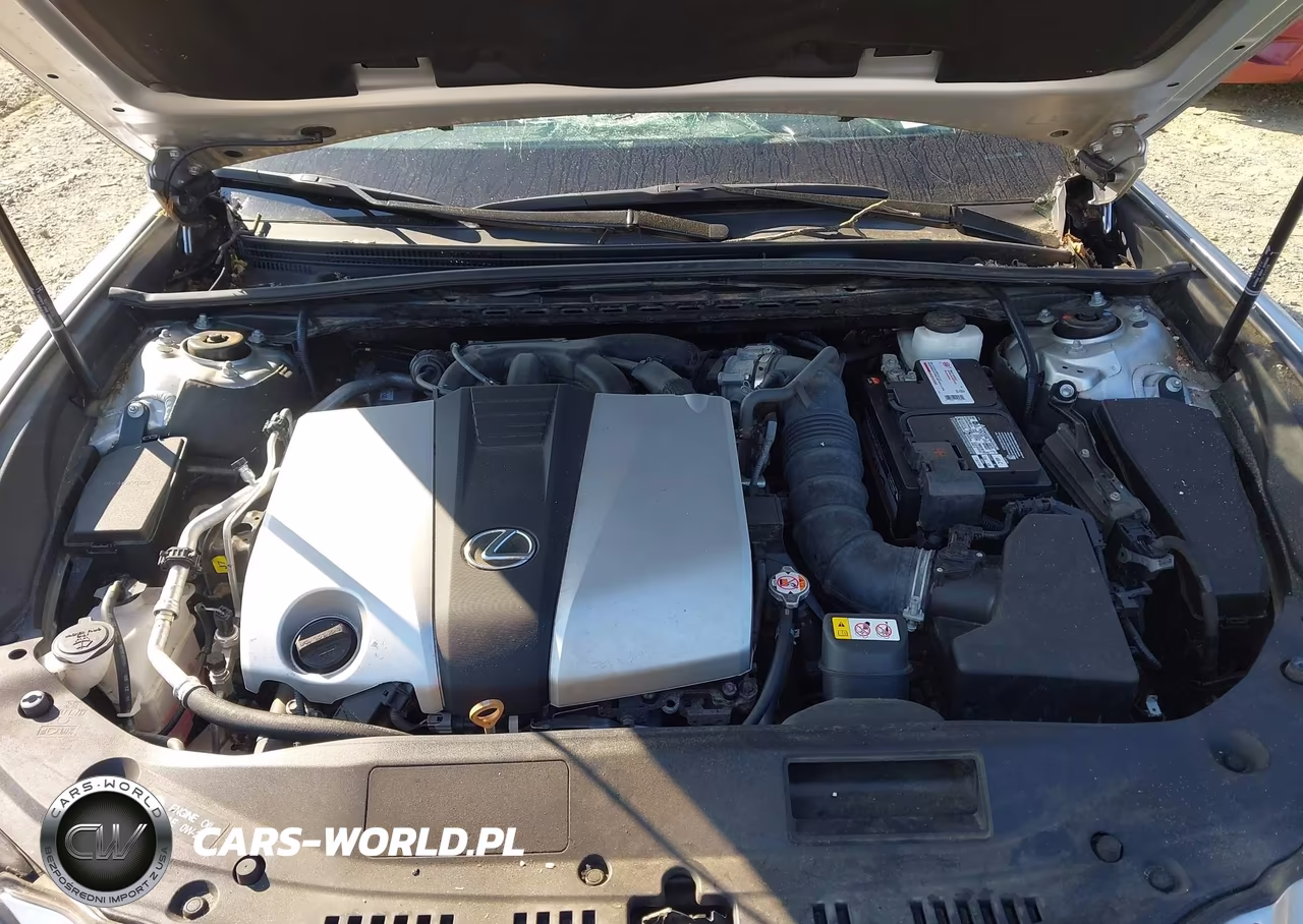 2020 Lexus Es 350 VIN:58ADZ1B18LU067627 - 10