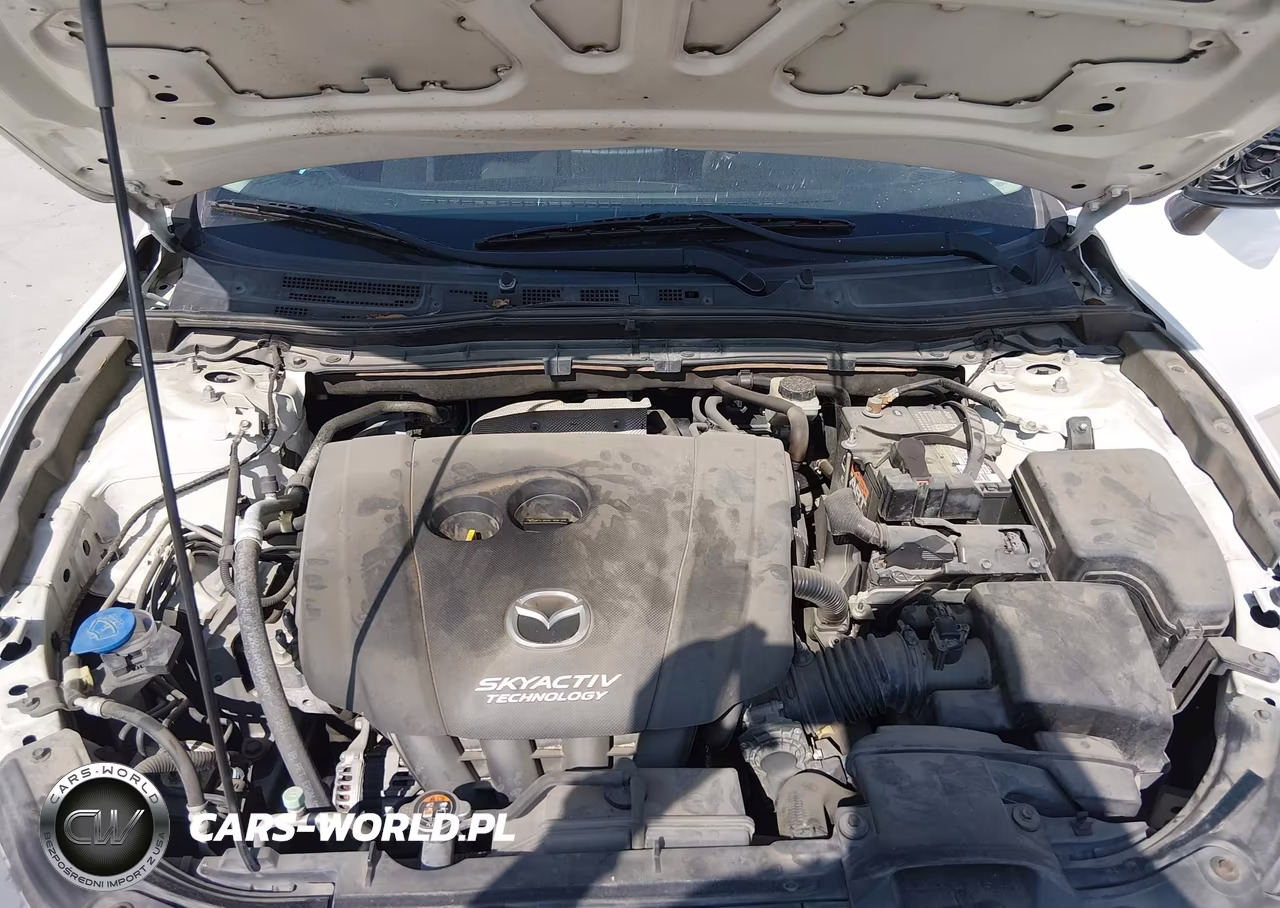 2014 Mazda Mazda3 I Sport VIN:JM1BM1K71E1203168 - 10